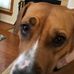 Drew Tunney - Facebook