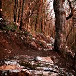 Andrew Upshaw - @quadzillasalsa - Instagram