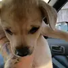 Drew Vertrees - @drew.vertrees7 - TikTok