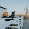 drewvidal625 - @drewvidal625 - TikTok
