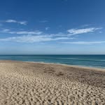Andrew Vitale - @andrew.vitale.58 - Instagram