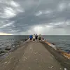Andrew Vogel - @andrew.vogel0 - TikTok