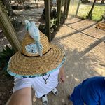 Drew Vogel - @drew_vogel_12 - Instagram