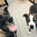Andrew Vuong - @drewvuong - Instagram