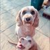 Drew Wade - Facebook