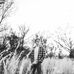 Andrew Wagoner - Facebook