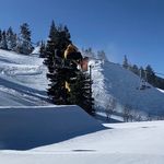 Drew Walsh - @drewwalsh77 - Instagram