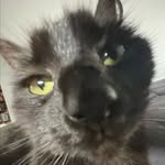 Drew Warnick - @drewthoughts2 - Instagram