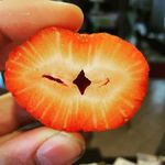 Andrew Warnock - @cardiac_caress - Instagram