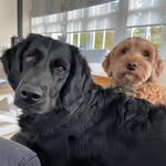 Andrew Warnock - @a.warnock68 - Instagram