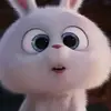 🅰️NDREW - @drew_wayne496 - TikTok