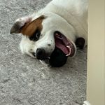 Drew Weeks - @into_the_wild_drew_yonder - Instagram