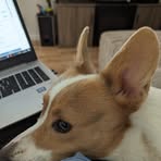 Drew Weeks - Facebook