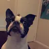 Drew Weiler - @drew.weiler - TikTok