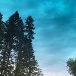 Drew Weiss - @drew.weiss.31 - Instagram
