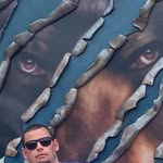 Drew Wells - @drewe11s - Instagram