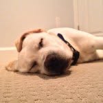 Andrew Wenzel - @andwenz - Instagram