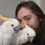 Andrew Whelan - @andrew.whelan.391 - Instagram