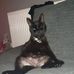 Andrew Whitfield - Facebook