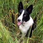 @drew____waddell - Instagram