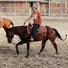 Wild Drew - @wild.drew - TikTok