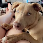 Drew Wilhelm - @drewwilhelmm - Instagram