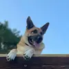 Drew_2_Will - @drew_2_will - TikTok