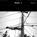 Drew Williamson - Facebook