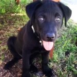 Winston Elizabeth Drew - @winstondrew - Instagram