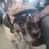 Drew Winters - @drewdog134 - TikTok