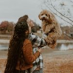 Andrew Wittman - @andrewwittman99 - Instagram