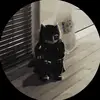 Andrew Wolanski - @andrewwolanski - TikTok