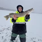 Drew Wood - Facebook