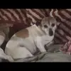 Drew wood - @drew.wood72 - TikTok