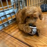 Drew Wortman - @ace_wortman - Instagram