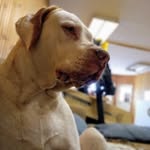 Drew Wyatt - @drew100fp1 - Instagram