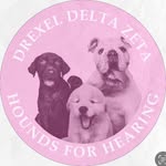 Drexel DZ Hounds for Hearing - @deltazetah4h - Instagram