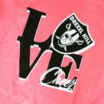 Drexel Hill Raiders Cheer - @dhraiderscheer - Instagram