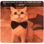Dru Bradley Husman - @drus_life58 - Instagram