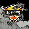 SPALDING - @ff_spalding - TikTok