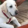 Drusilla Smith - @drusilla.smith2 - TikTok