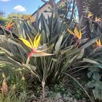 Drusilla Smith - @drusie67 - Instagram