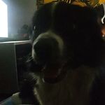 duane atkinson - @duaneatkinson730 - Instagram