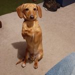 Duane Atkinson - @dpa2711 - Instagram