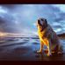 Duane Bell - Facebook