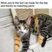 Duane Benoit - Facebook