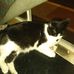 Duane Bernier - Facebook