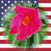 Beverly Duane - Facebook