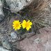 Duane Bingham - Facebook