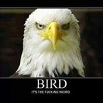 duane bird - @duane.bird - Instagram